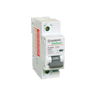 PS100H – 1 Cực