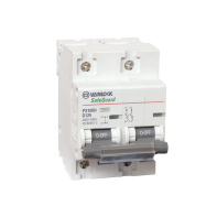 PS100H – 2 Cực