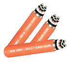 cap-3-loi-chong-tham-man-chan-bang-dong-giap-soi-thep-12-2024kv-sao-chep-3072-1