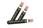 Cáp chống cháy FRL-DSTA 2X