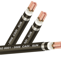 Cáp chống cháy FRL-DSTA 3X+1