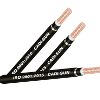 Cáp đồng ngầm 2 ruột_DSTA 2x