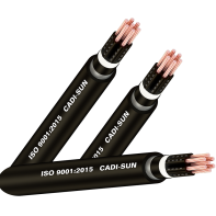 CĐK có màn chắn IEC 502 – Cadisun