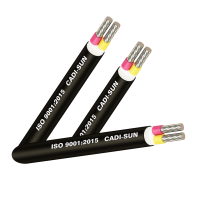 Cáp nhôm 2 ruột, cách điện PVC, vỏ bọc PVC_AVV2x