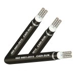 Cáp nhôm ngầm 2 ruột_ADSTA2x Cadisun