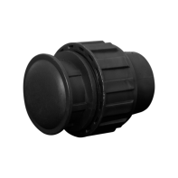 Đầu Bịt Vặn Ren HDPE Sino