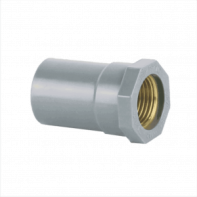 Đầu Nối Ren Trong Đồng uPVC Tiền Phong