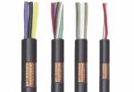 DVV/Scb – 0,6/1 kV & DVVm/Scb – 0,6/1 kV CÁP ĐIỀU KHIỂN CÓ MÀN CHẮN CHỐNG NHIỄU BẰNG SỢI ĐỒNG ĐAN LƯỚI, TỪ 2 ĐẾN 30 LÕI, RUỘT ĐỒNG, CÁCH ĐIỆN PVC, VỎ PVC
