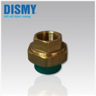 Rắc co ren trong PP-R Dismy