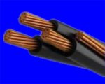 DuCX ­– 0,6/1 kV CÁP DUPLEX, RUỘT ĐỒNG, CÁCH ĐIỆN XLPE